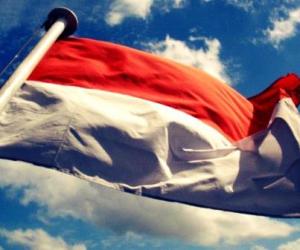 hari-kemerdekaan-indonesia-yang-ke-67